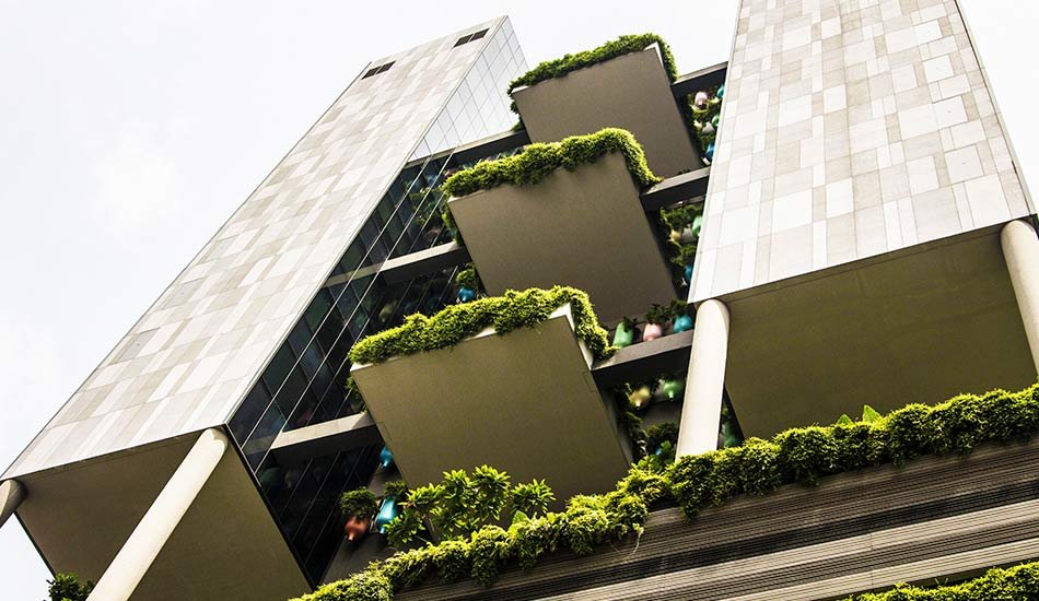 Arquitectura sustentable con materiales ecológicos en México 