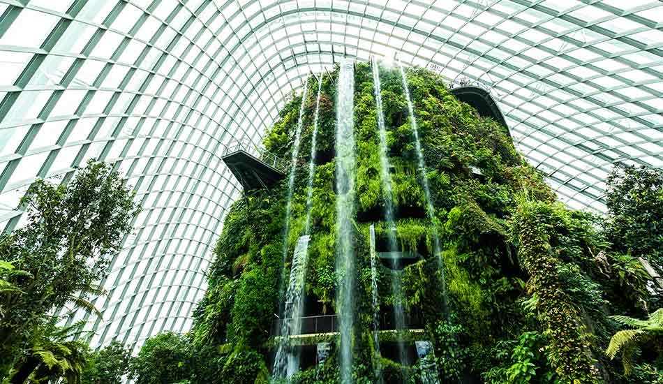 iseño biofílico con jardines verticales en arquitectura residencial México